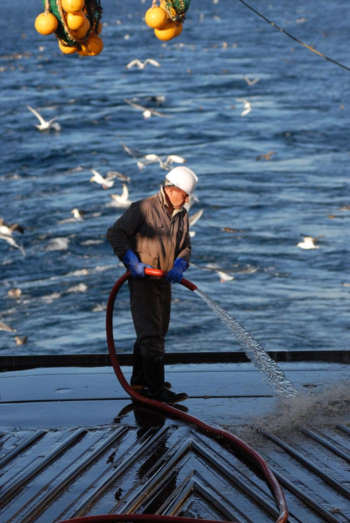 Photographer Andrey Shapran went on a voyage with fishermen and learnt about all the challenges of sea fishing